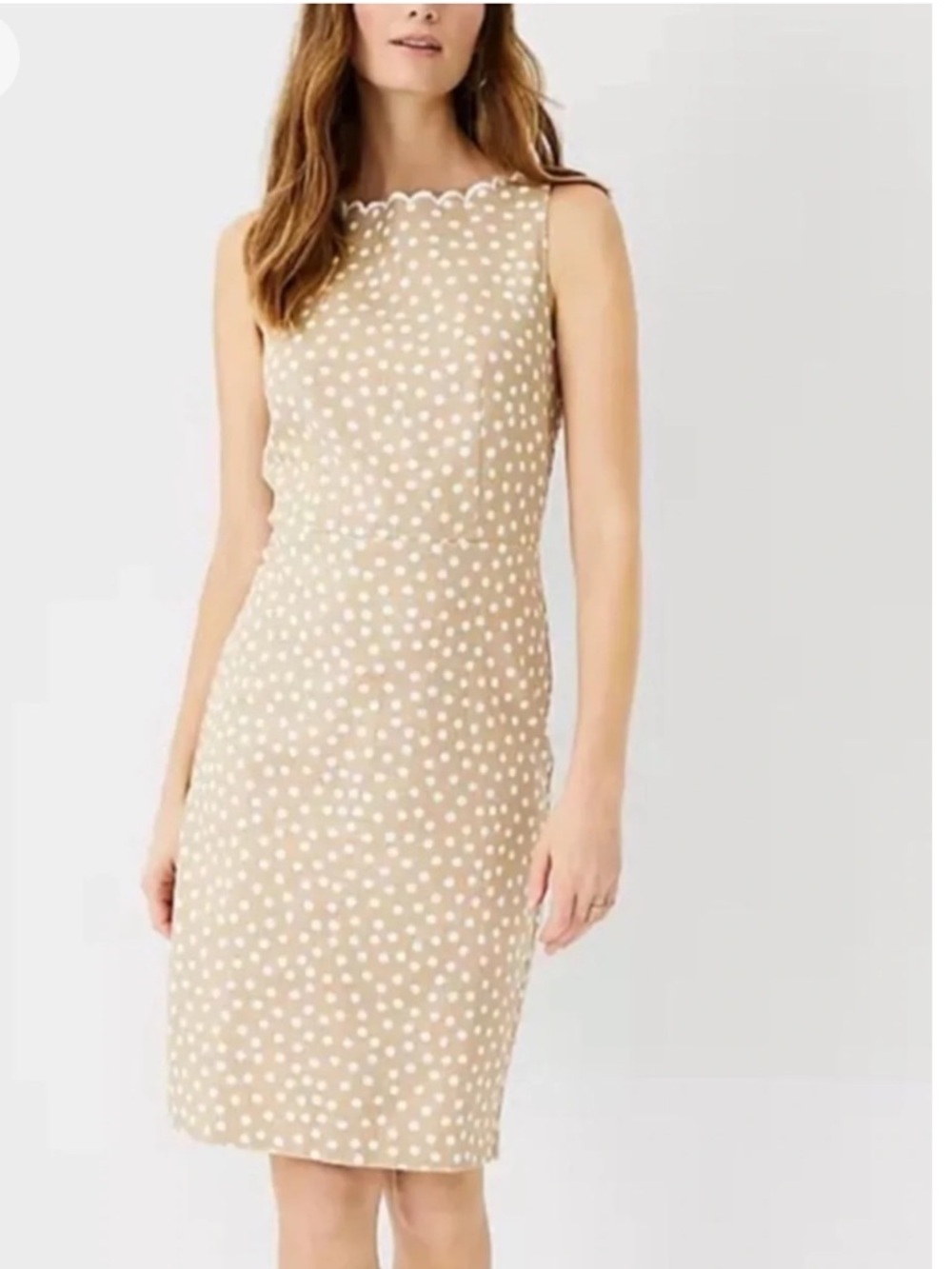 Ann Taylor Dotted Scalloped Neck Sheath Dress